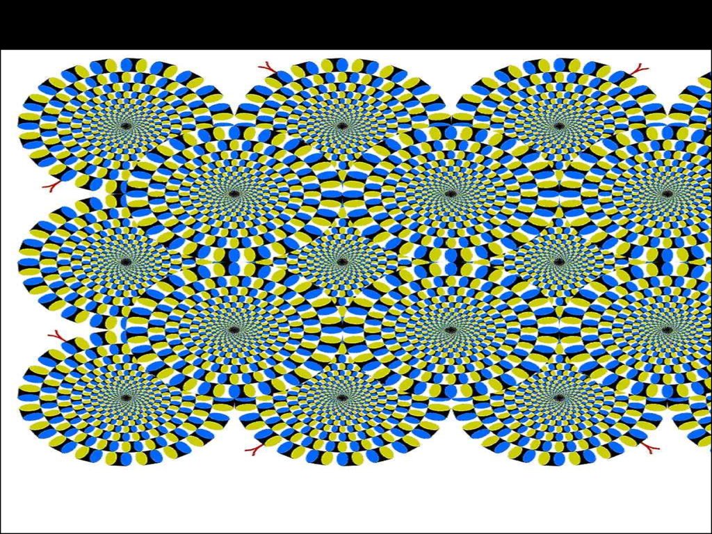 Optics of vision. Eye structure - презентация онлайн