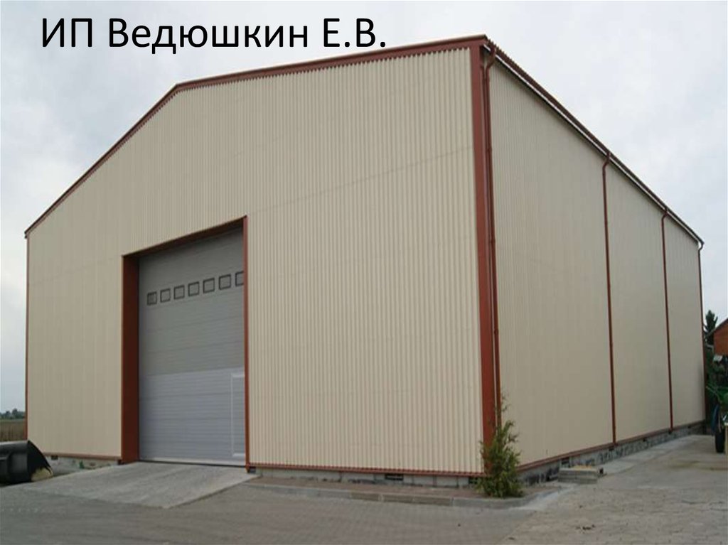 ИП Ведюшкин Е.В.