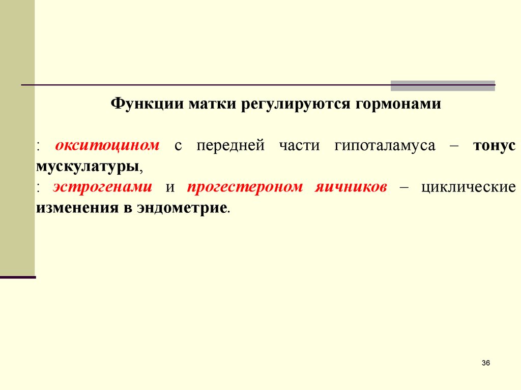 Матка функции. Функции матки. Матка строение и функции. Основные функции матки. Перечислите функции матки.