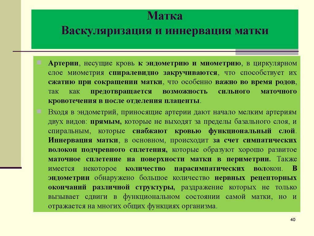 Васкуляризация это. Васкуляризация и иннервация матки.. Иннервация матки осуществляется.