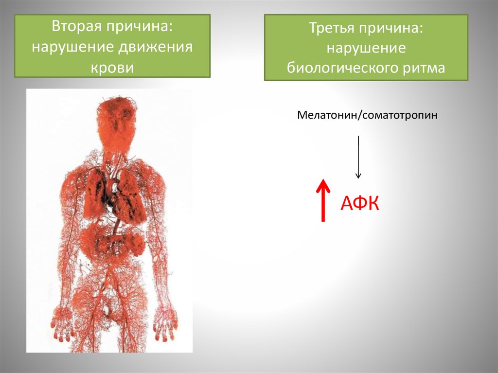 Вторая причина: нарушение движения крови