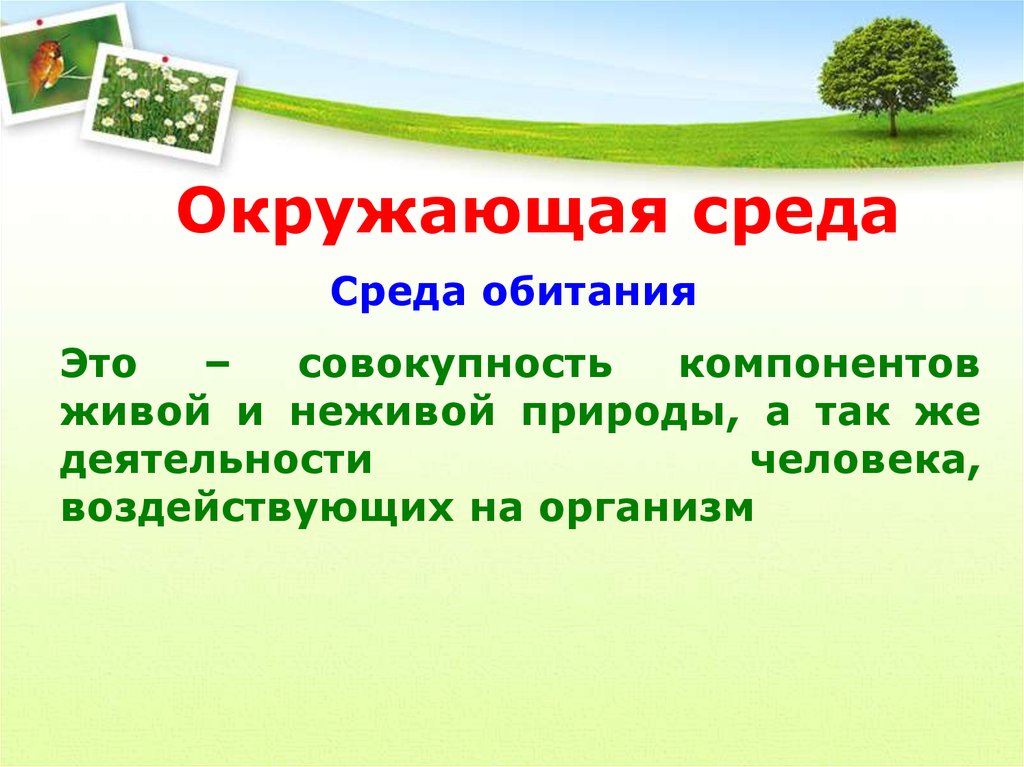 Обитания и здоровье человека. Среды обитания экология. Окружающая среда и среда обитания. Окружающая среда обитания это. Среда обитания и факторы среды экология.