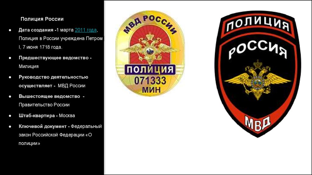 Реферат На Тему Полиция России