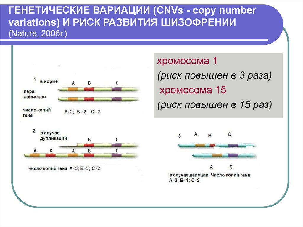 Генетика шизофрении презентация