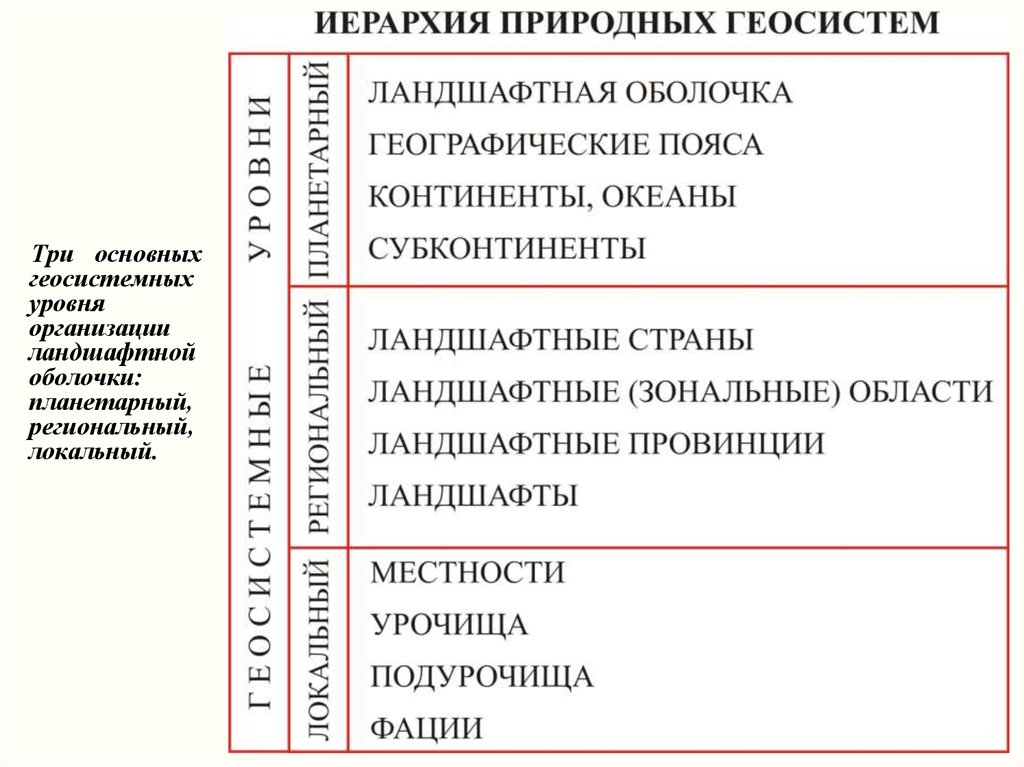 Природный уровень. Иерархия ландшафтов. Геосистема иерархия. Уровни организации геосистем. Региональный и локальный уровни организации геосистем.