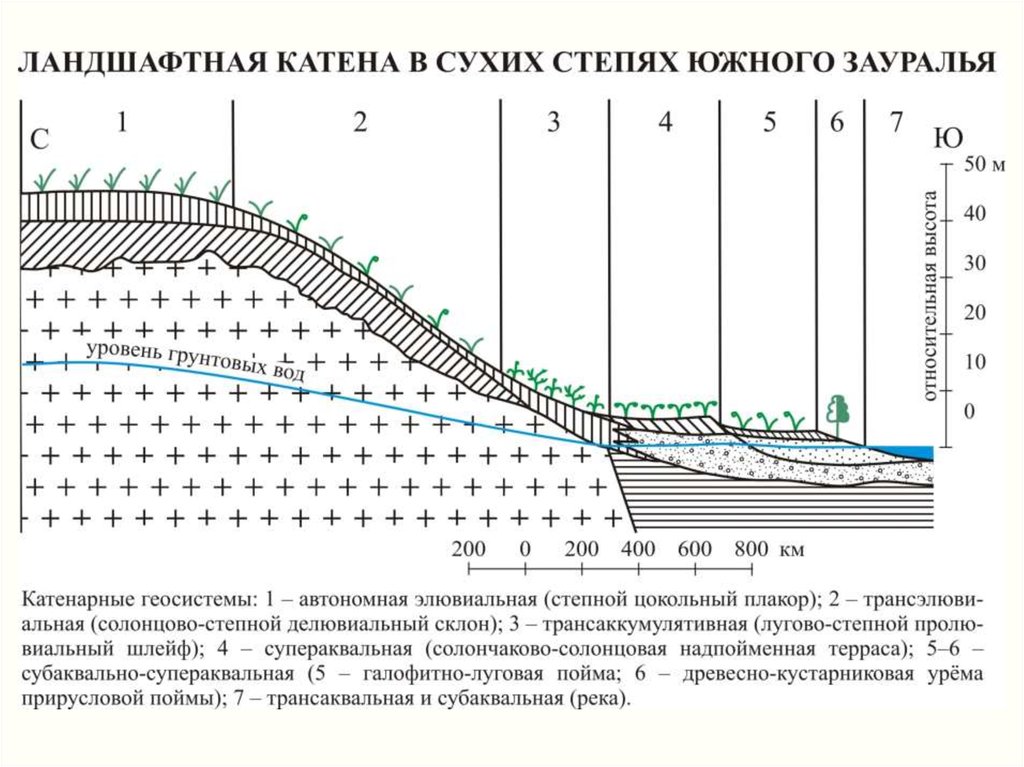 Плакор это. Элементарный геохимический ландшафт. Ландшафтная Катена. Ландшафтный профиль пример. Ландшафтно геохимический профиль.