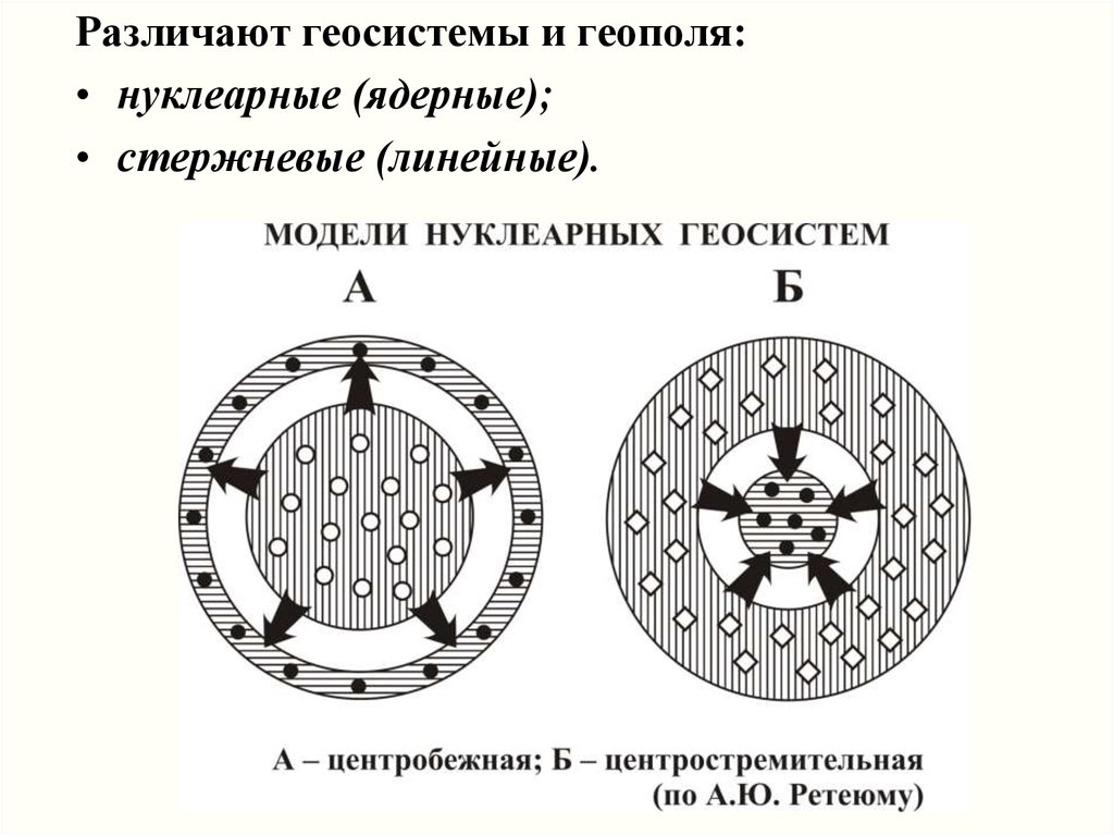 Геосистема. Нуклеарные геосистемы. Схема геосистемы. Парагенетические геосистемы. Ландшафтные геополя и нуклеарные геосистемы.