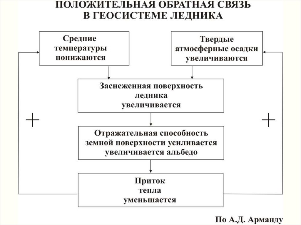 Положительная обратная связь. Прямые и обратные связи в геосистеме. Прямые и обратные связи в ландшафтах. Прямые и обратные компоненты геосистемы.