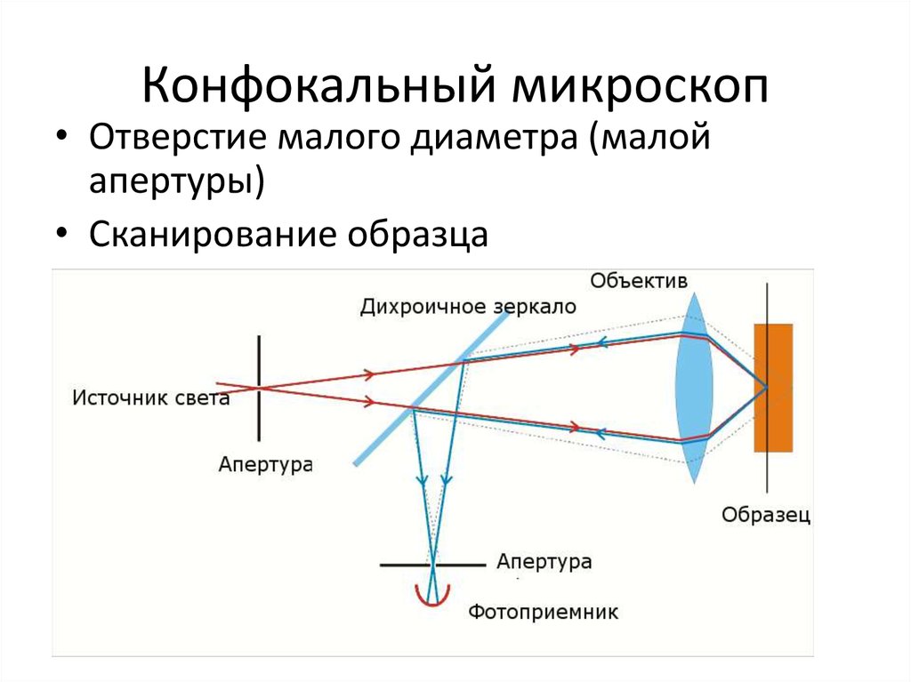 Объектив микроскопа схема