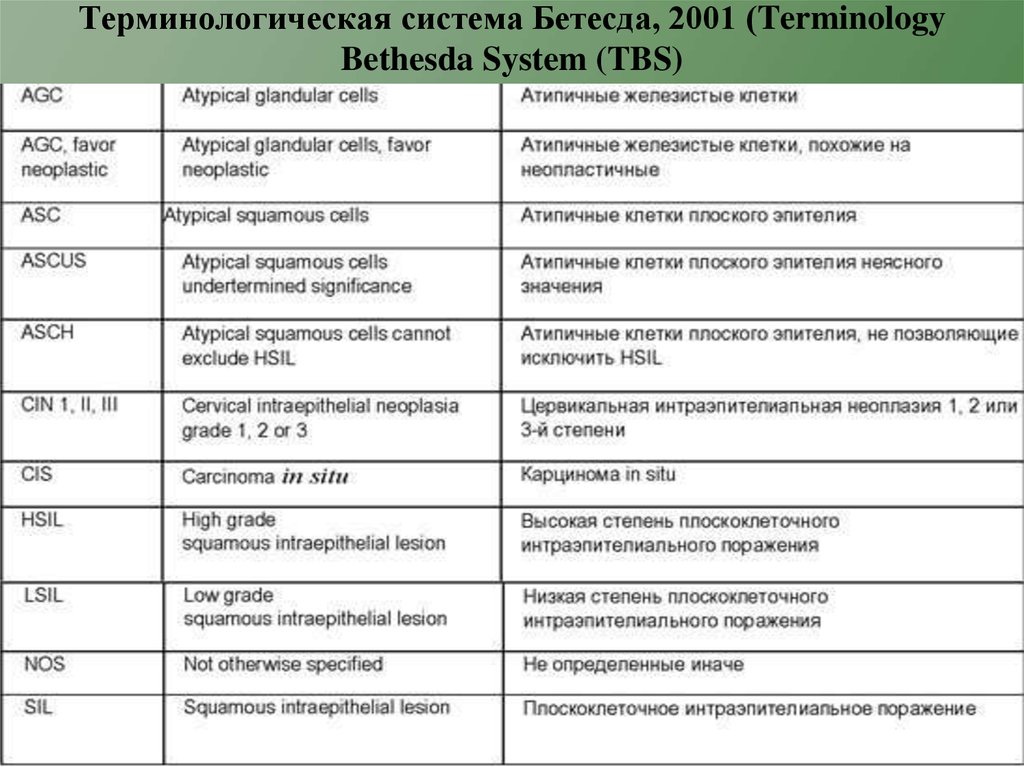 Bethesda щитовидная железа. Терминологическая система Бетесда, 2001 (terminology Bethesda System. Система Bethesda по оценке цитологии. Цитологическая классификация Бетесда. Цитологическая классификация Бетесда шейка матки.