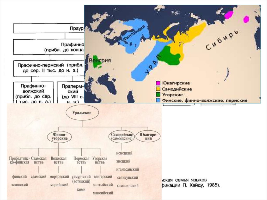 Самодийские языки. Языковая семья Венгрии. Урало-юкагирская языковая семья.