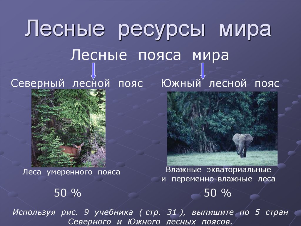 Наиболее обеспеченные лесными ресурсами. Лесные ресурсы мира. Северный и Южный Лесной пояс. Лесные пояса. Лесные пояса планеты.