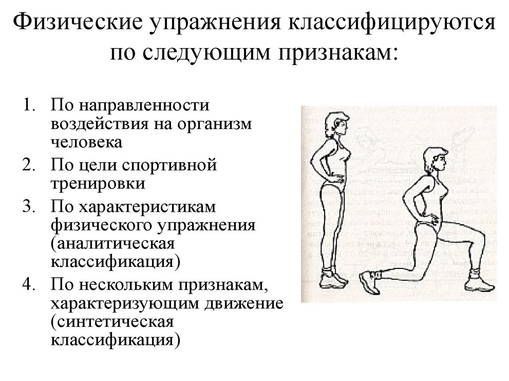 Принципы физического упражнения. Динамические характеристики физических упражнений. Динамические характеристики техники физических упражнений. Пространственные характеристики физических упражнений. Физические упражнения подразделяются на.