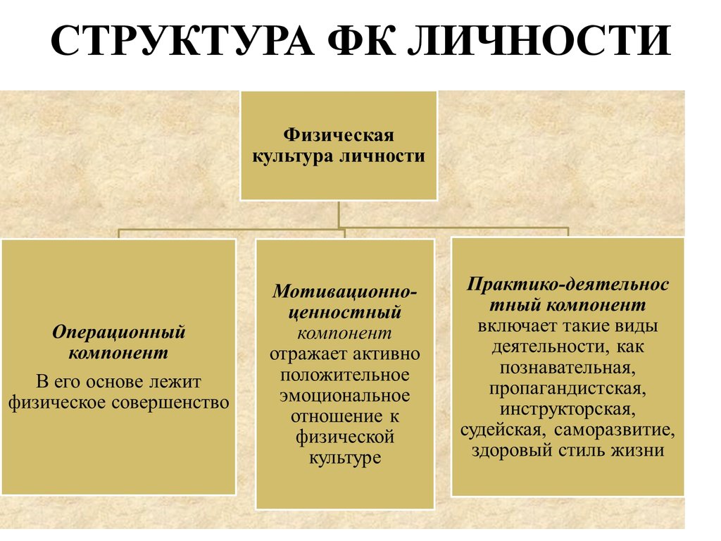 В структуру культуры входят такие компоненты