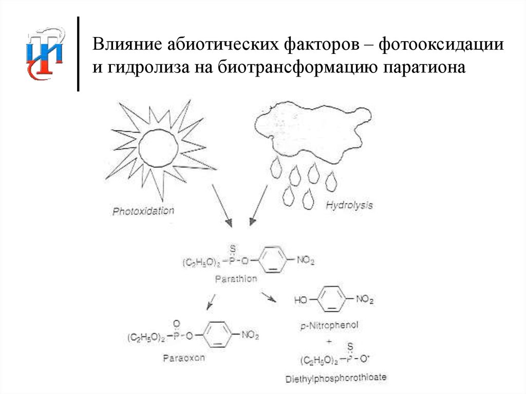 Влияние абиотических факторов