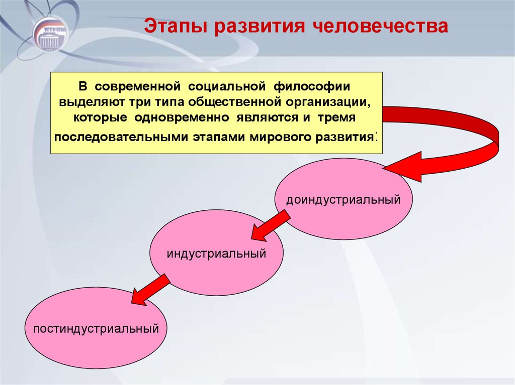 Этапы развития социальных организаций