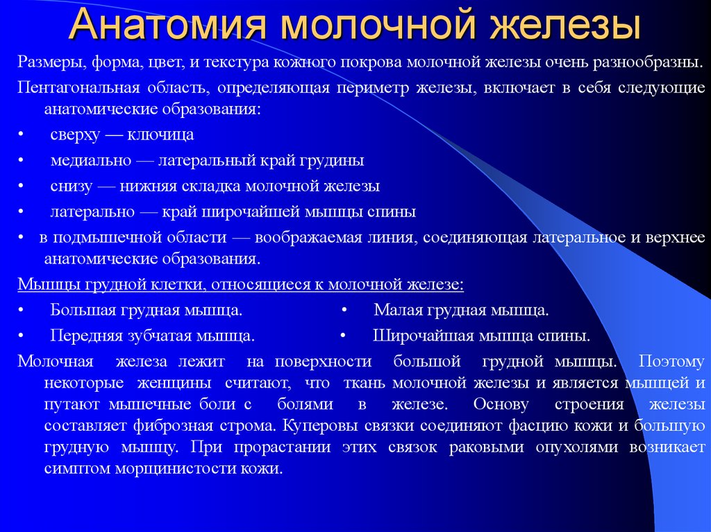 Источники оперативного. Основные источники информации. Анатомия молочной железы. Источники информации примеры. Основные источники инф.