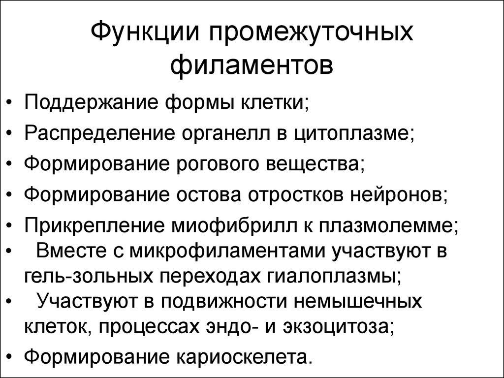 Промежуточно клеточный. Функции микро филоментов. Промежуточные клетки функции. Филаменты функциипромежуточнве.