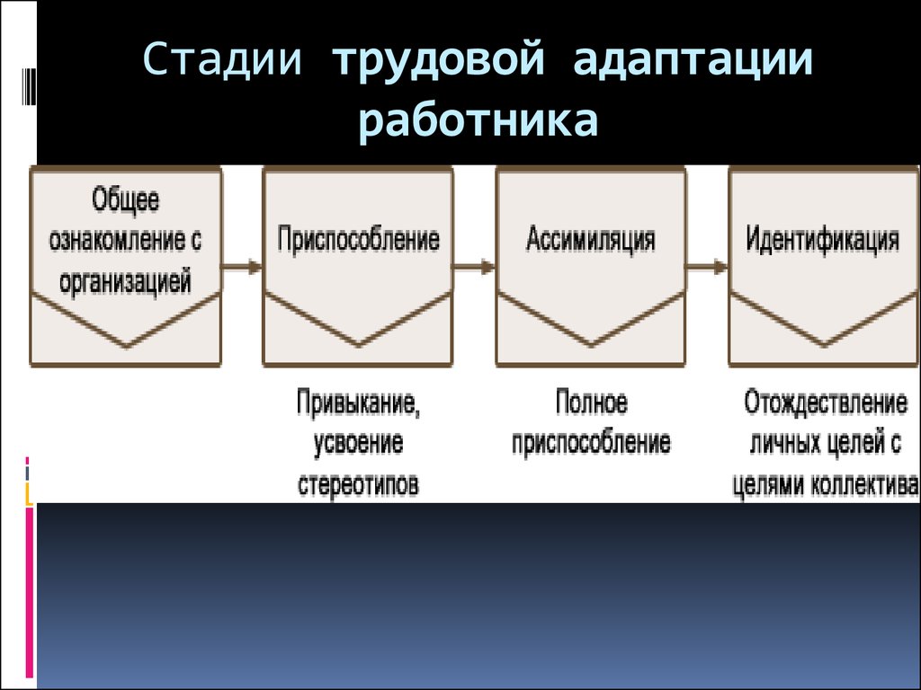 Ролевая ориентация. Стадии трудовой адаптации. Стадии трудовой адаптации работника. Этапы трудовой адаптации персонала. Стадии адаптации работника в организации.