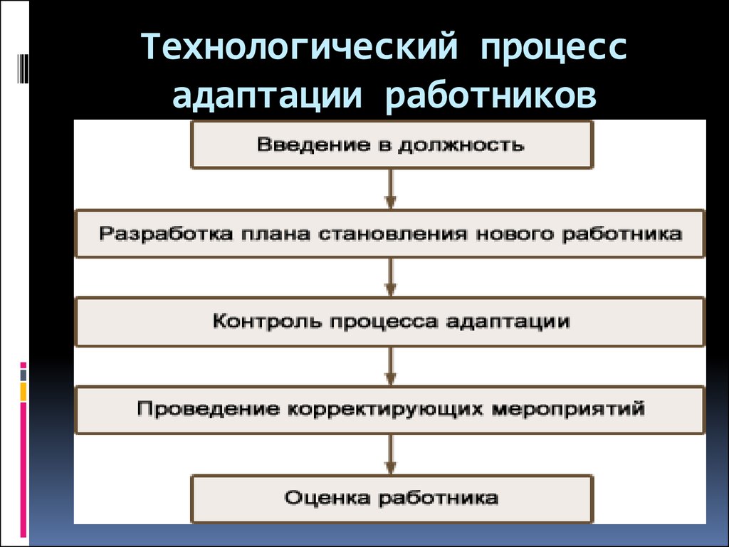 Этапы адаптации схема