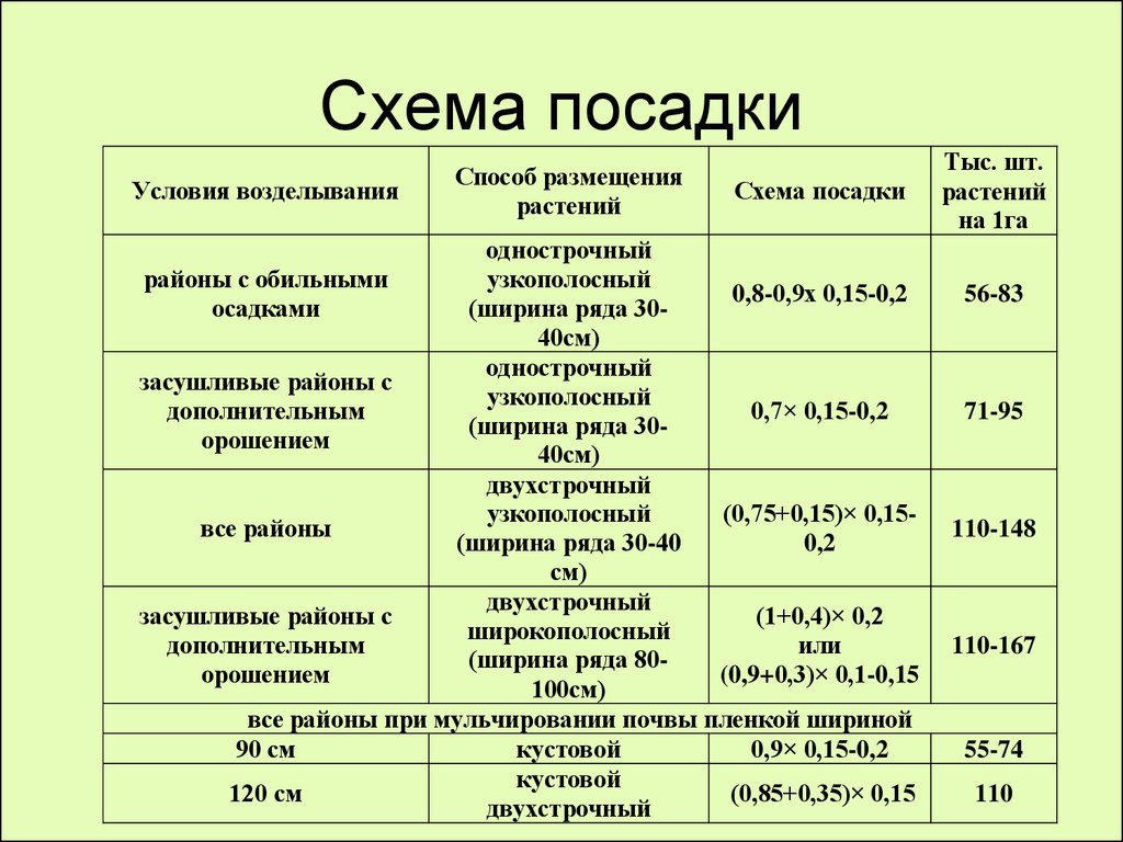 Священная роща схема посадки деревьев