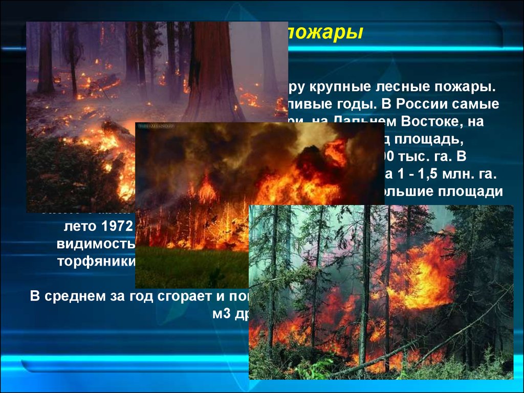 Пока я в атмосфере сгораю. Загрязнение воздуха пожары. Лесные пожары загрязняют воздух. Естественные загрязнения атмосферы Лесной пожар. Источник загрязнения пожары.