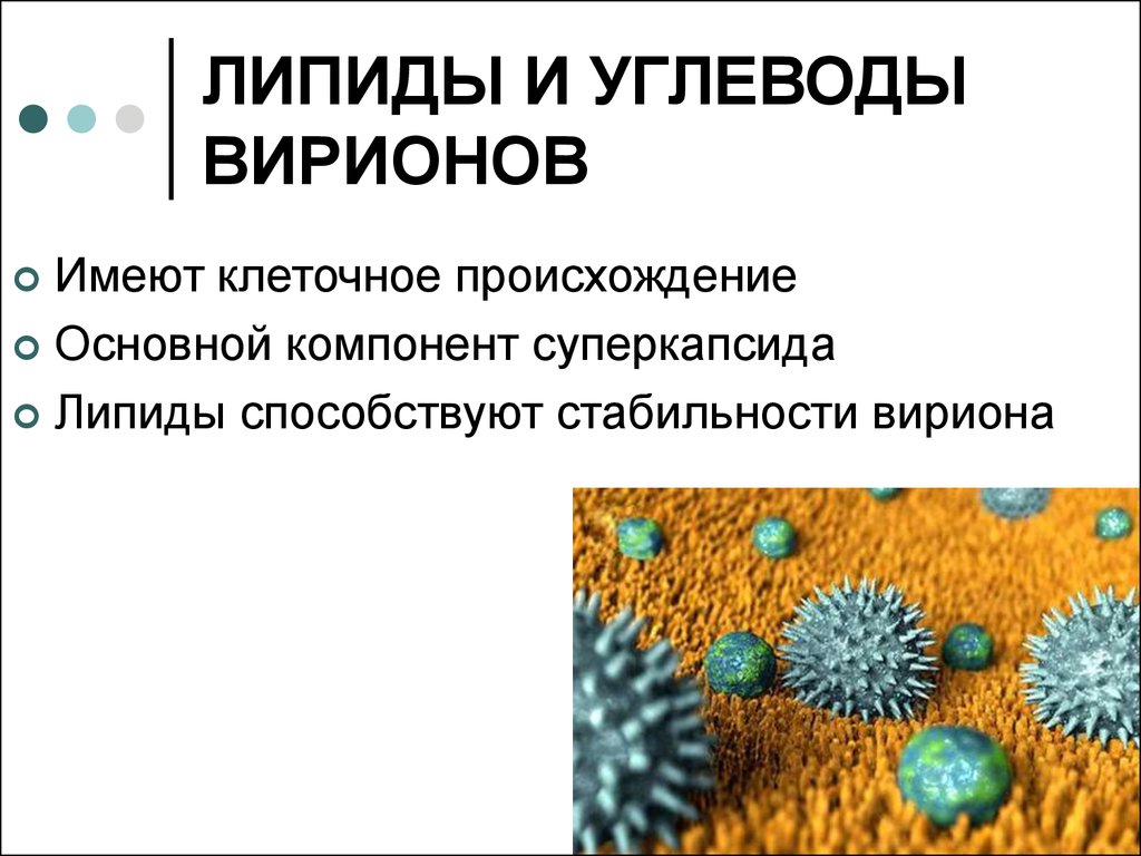 Липиды в живой клетке. Липидные вирусы это. Функции липидов вирусов. Липидная мембрана у вирусов. Липиды и углеводы вирусов.