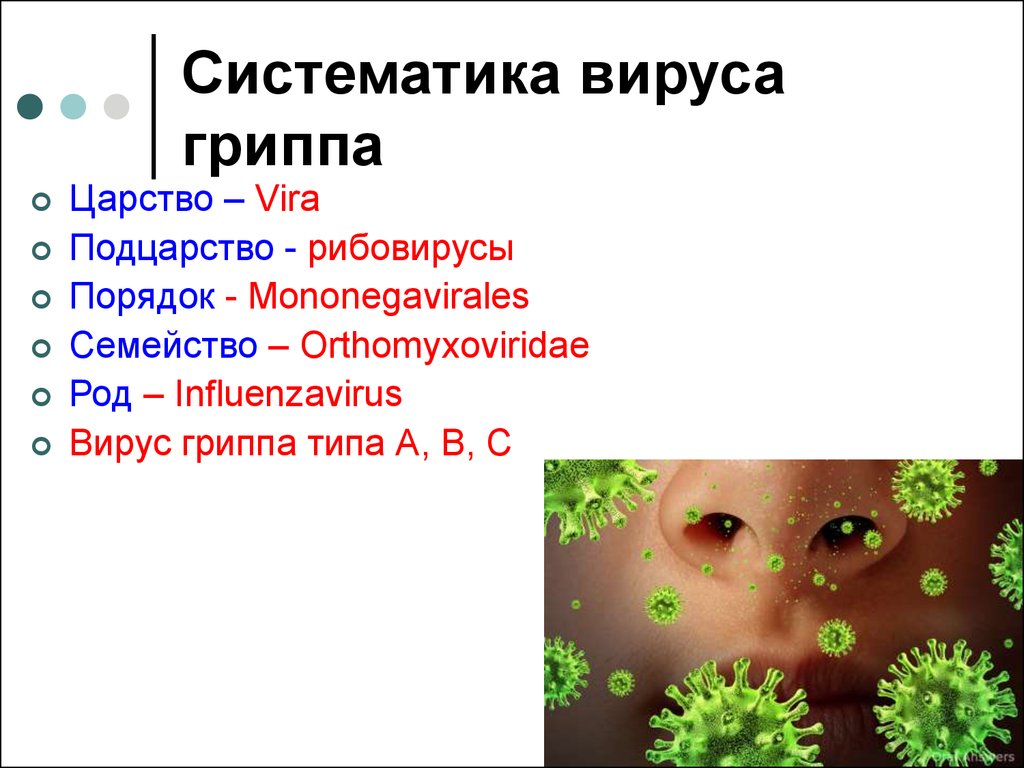 Вирус гриппа семейство. Таксономия положение вируса гриппа. Систематическое положение вируса гриппа. Таксономическое положение вируса гриппа. Вирус гриппа микробиология систематика.