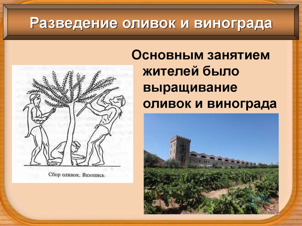 Занятия древней греции 5 класс. Земледельцы древней Аттики. Земледелие и виноградарство Аттики. Древняя Аттика земледелие. Основные занятия жителей Аттики.