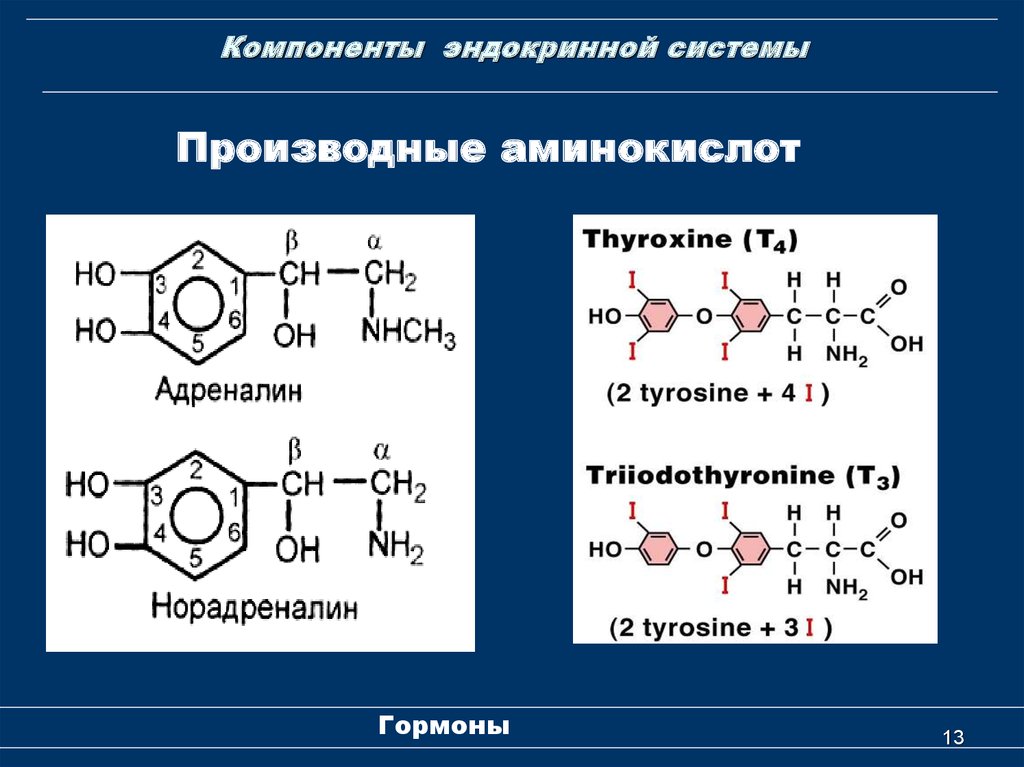 Производные аминокислот. Гормоны производные аминокислоты тирозин это. Гормон производный аминокислот. Гормоны являющиеся производными аминокислот. Гормоны производные тирозина.