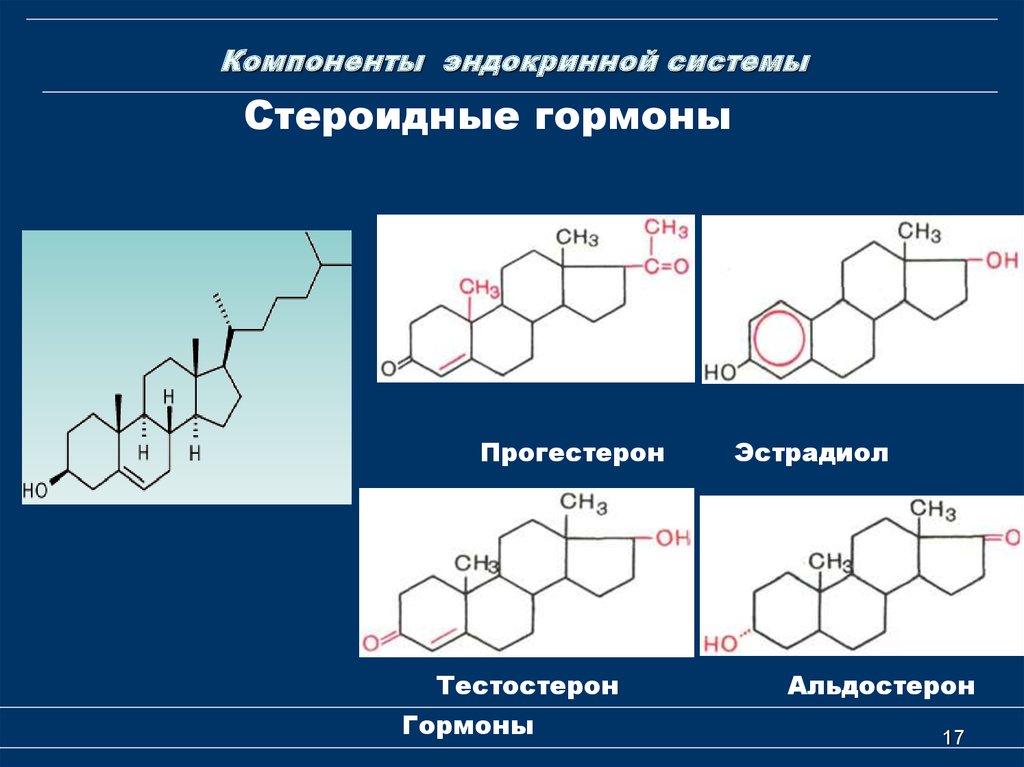 Стероидные гормоны картинки