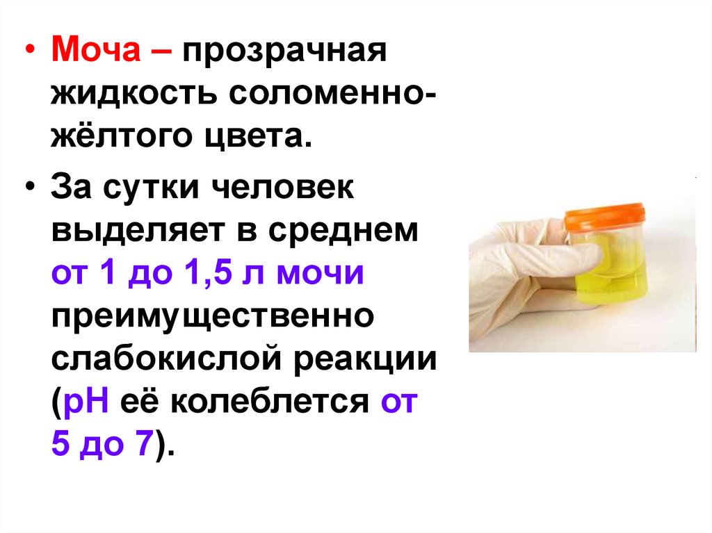 Прозрачная моча. Соломенный цвет мочи. Соломенно желтый цвет мочи. Полупрозрачная моча.