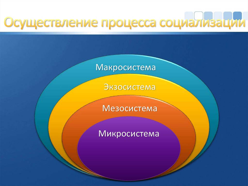 Автором проекта социализации земли был