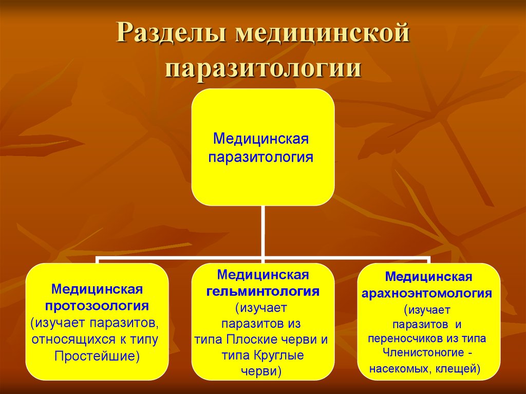 Медицинская паразитология презентация