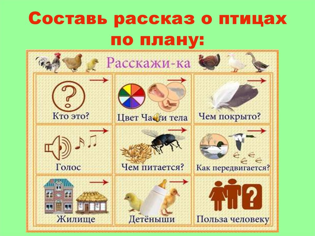 Схема по рассказу