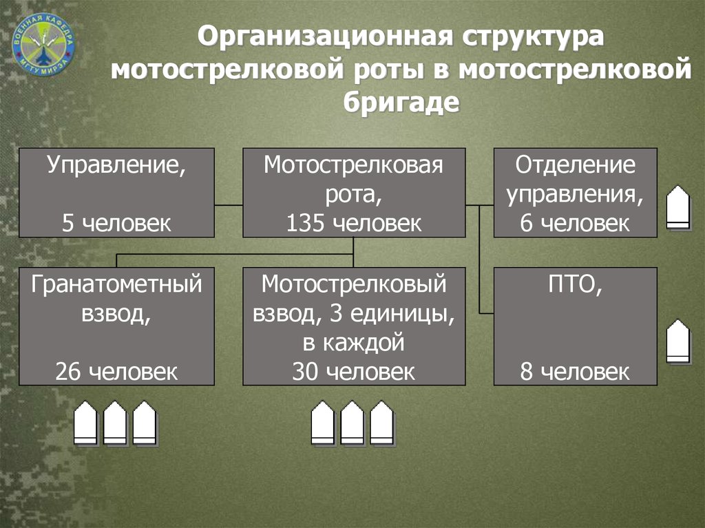 Организационная структура мотострелковой роты в мотострелковой бригаде
