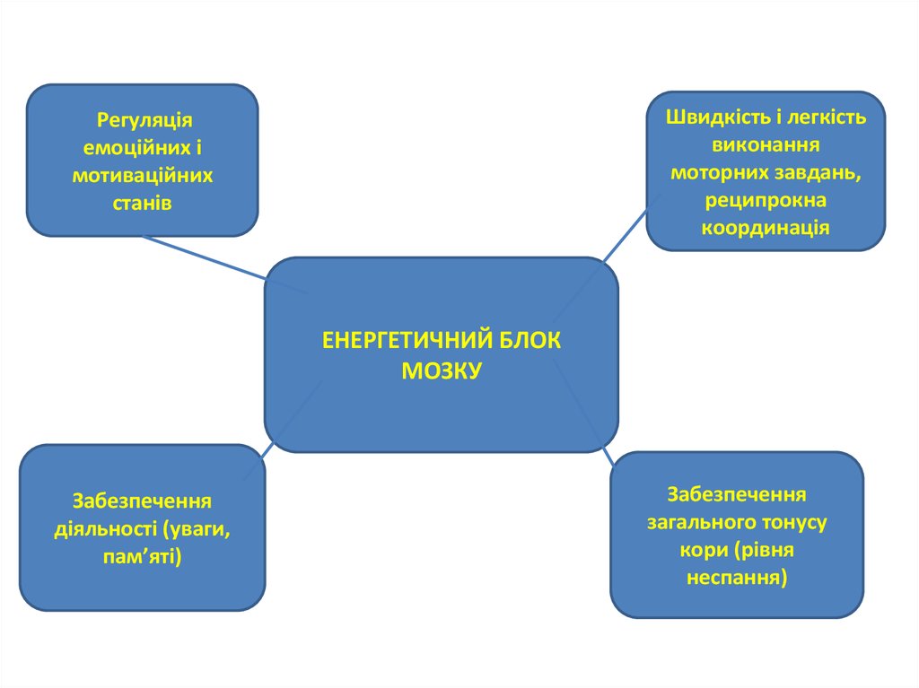 Энергетический блок мозга блок регуляции тонуса и бодрствования презентация