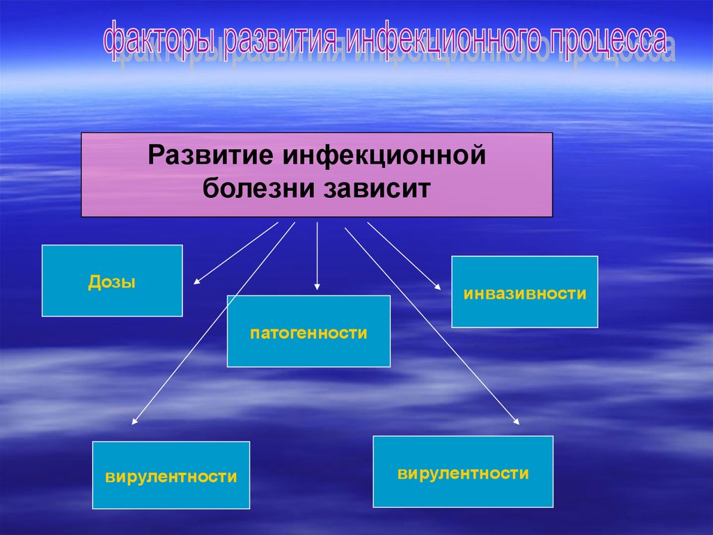 Варианты инфекционного процесса