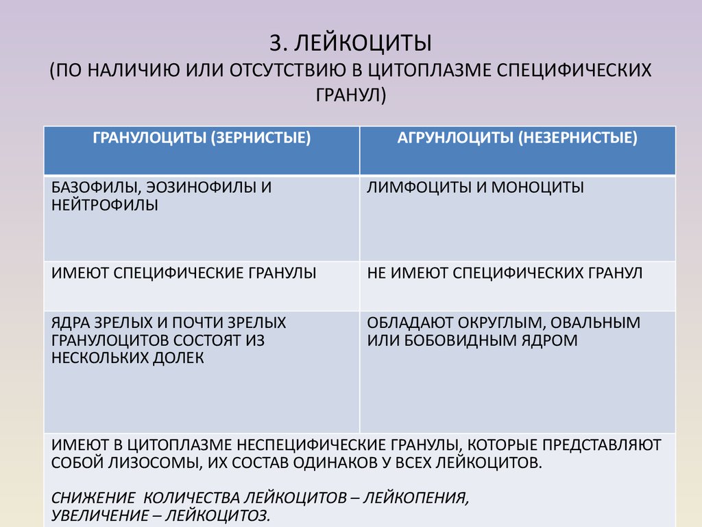 Деятельность и поведения различия