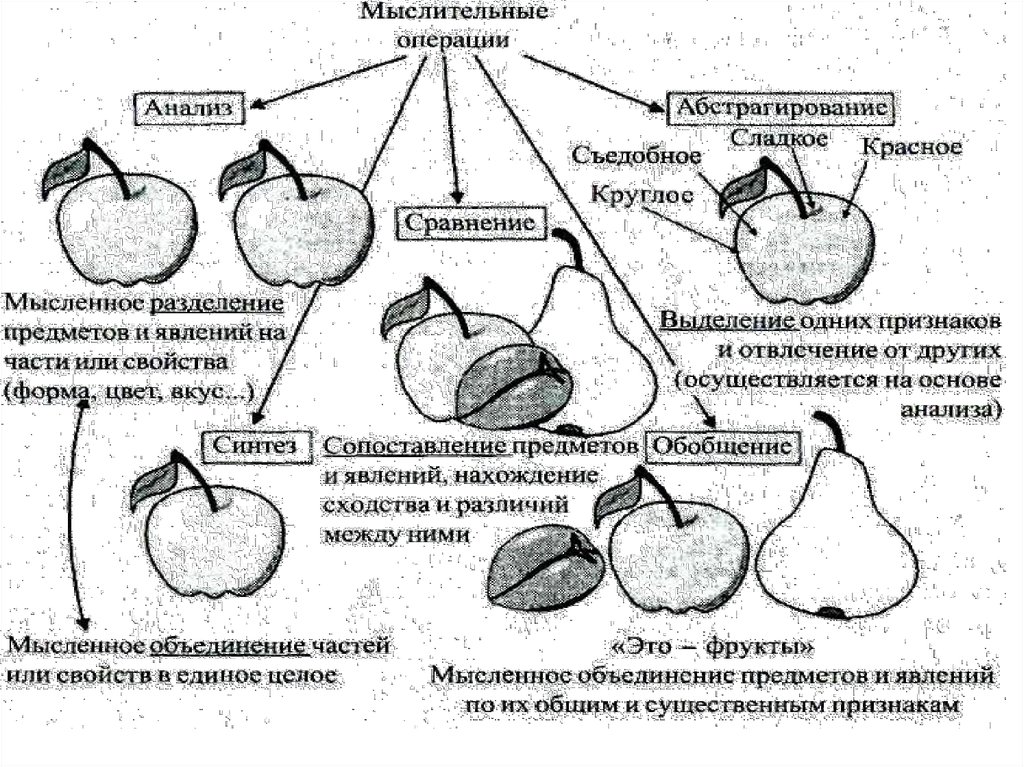 Мыслительные операции картинки