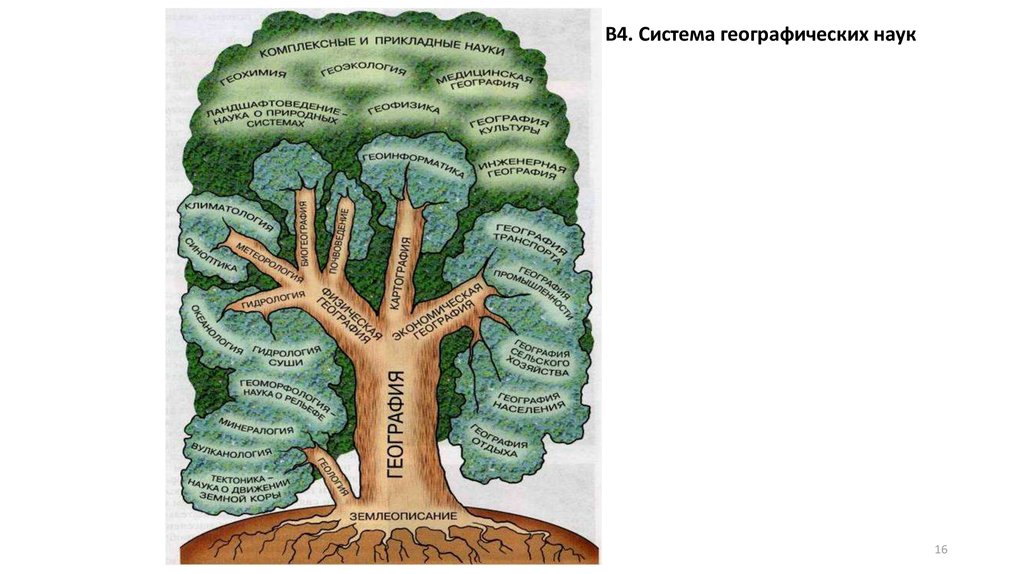 Схема системы географических наук