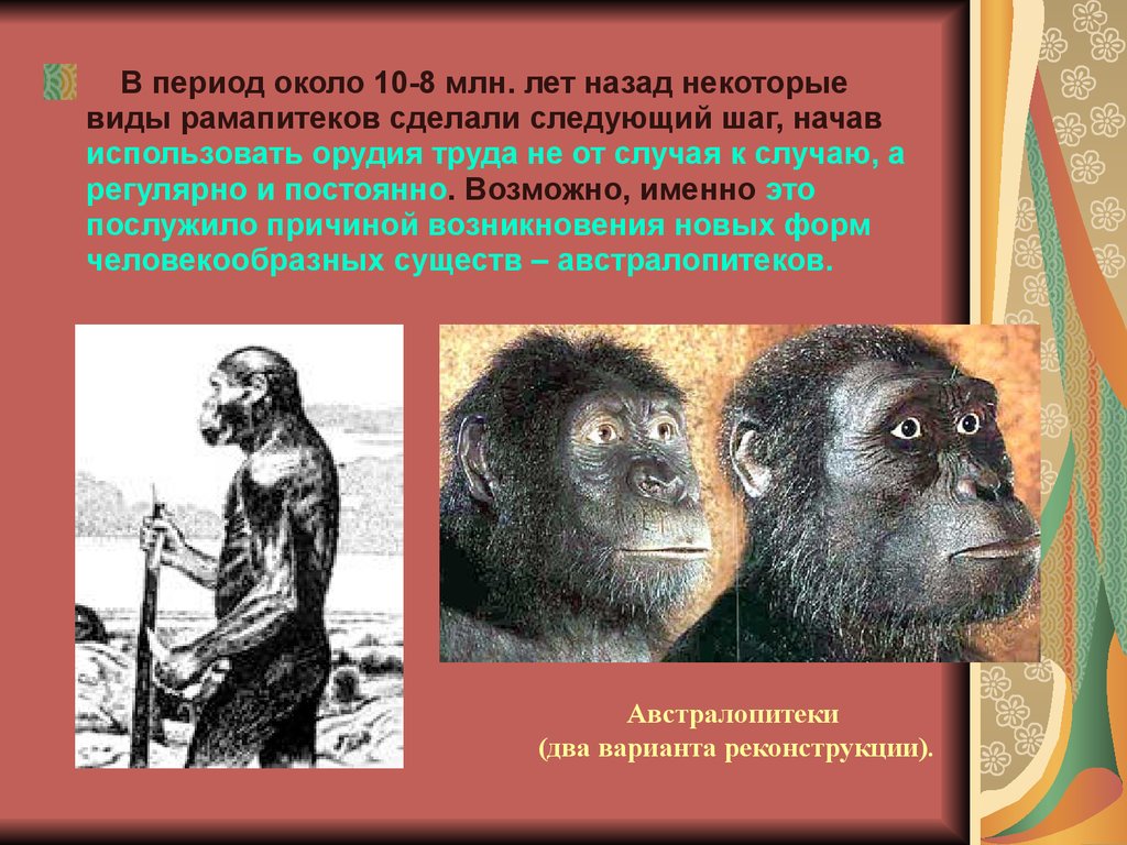 Назад некоторые. Рамапитек образ жизни. Рамапитеки период. Антропогенез рамапитек. Рамапитеки образ жизни орудия труда.