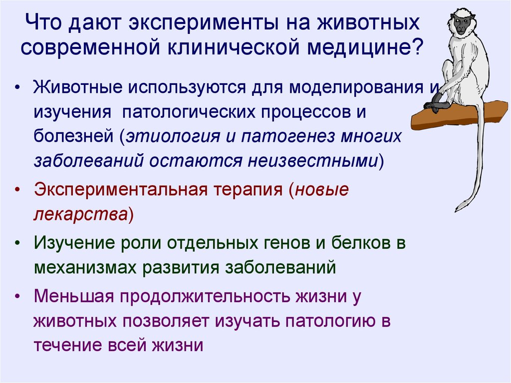 Смысл экспериментов