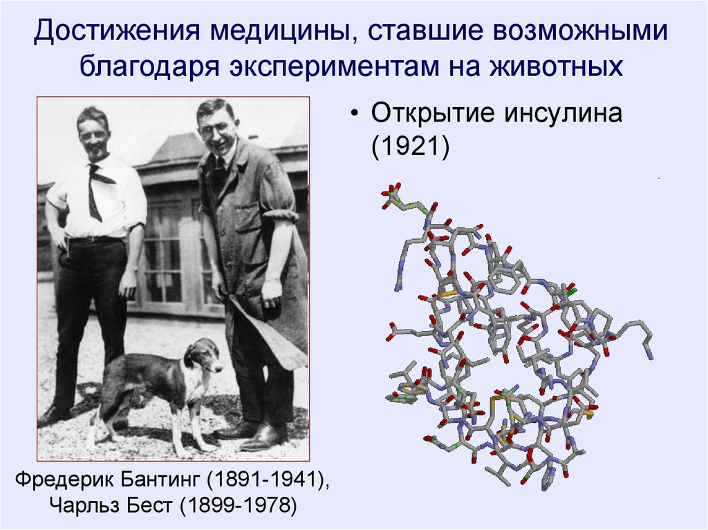 История открытия инсулина презентация