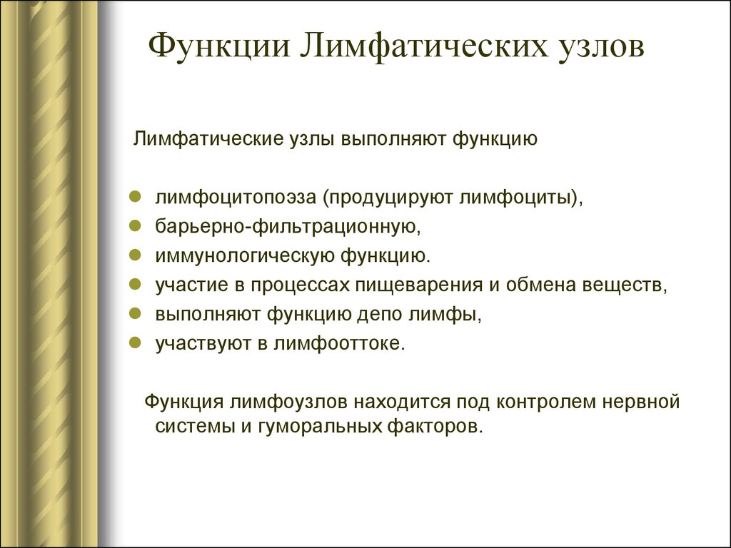 Лимфатические узлы функции. Лимфатически узлы функции. Главные функции лимфатических узлов. Лимфатический узелфукции. Функции лимфотическогоц ЗГЛА.