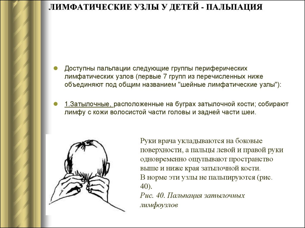 Пальпация лимфатических узлов. В норме пальпируются лимфатические узлы. Лимфоузлы у детей пальпируются в норме. Пальпация лимфатических узлов в норме. Затылочные лимфоузлы пальпация.