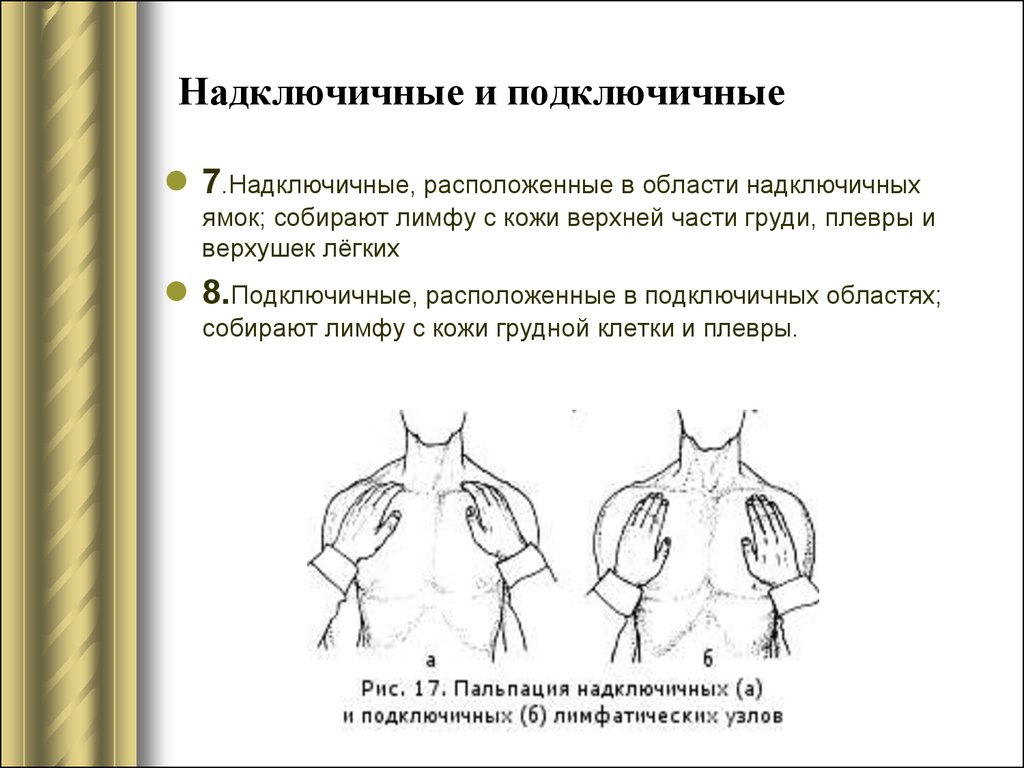 Лимфоузлы над ключицей схема