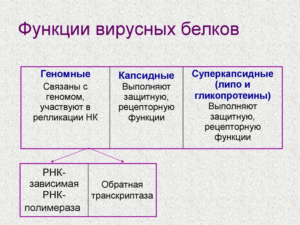 Их функции