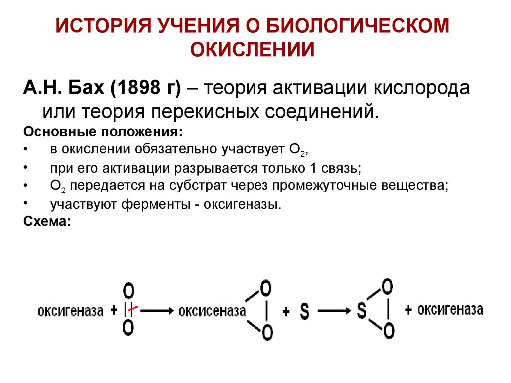 Биологическое окисление. Перекисная теория биологического окисления Баха. Теория Баха Энглера. Бах теория активации кислорода. Теория Баха и Палладина.