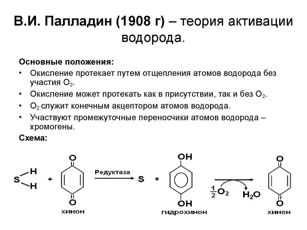 Окисление водорода. Теория Баха и Палладина. Теория Баха и Палладина биохимия. Теория активации водорода (Палладин. Теория активирования водорода.